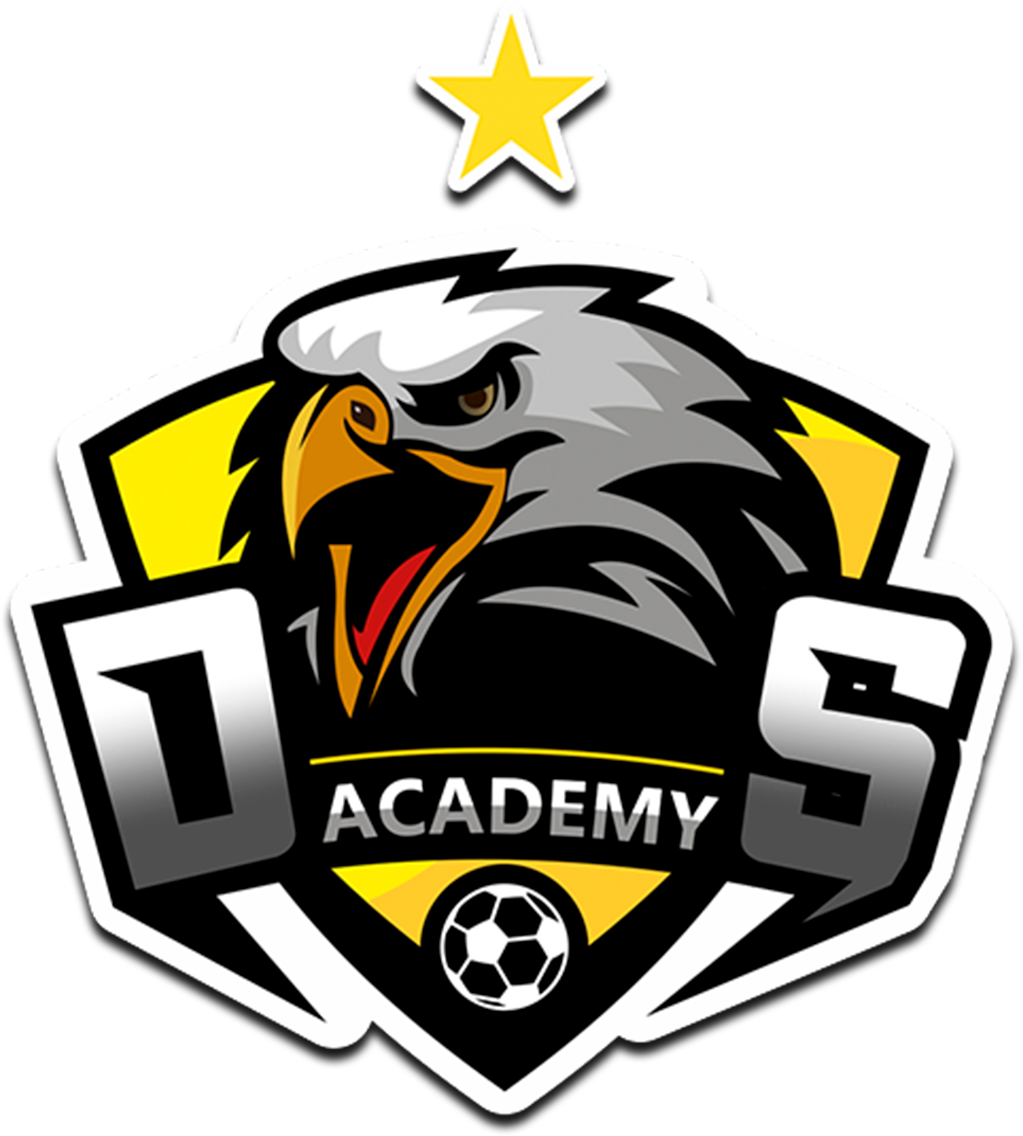 DS ACADEMY